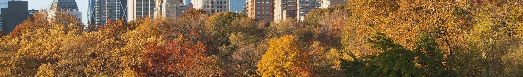 What are the Five Currency Pairs to Watch in October 2024 and Why?